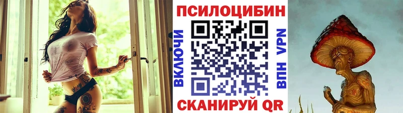 Галлюциногенные грибы Cubensis  Избербаш 